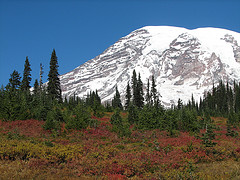 mount ranier photo by designatednaphour