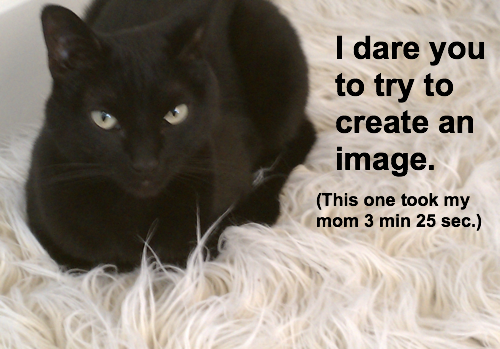 Cat daring you to create a shareable image.